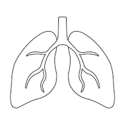 Logo del gruppo di PneumoTO