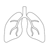 Logo del gruppo di PneumoTO